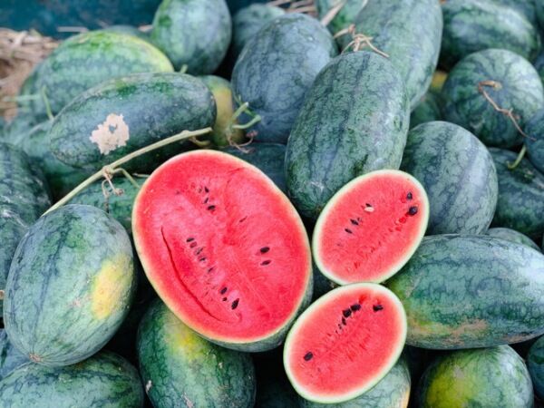 Capture the sweet essence of Long An’s agricultural gem